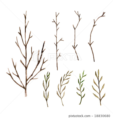450x468 Watercolor Paint Tree Branch , Vector Isolated