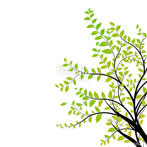 500x500 Tree Branch Vector