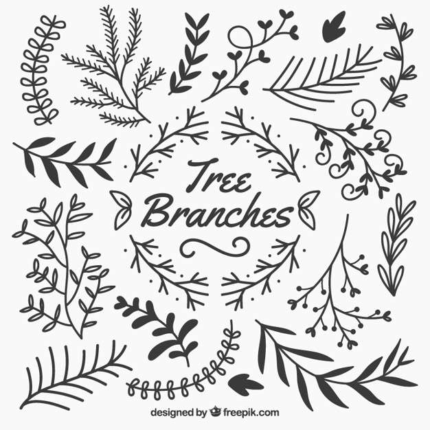 626x626 Branch Vectors, Photos And Psd Files Free Download