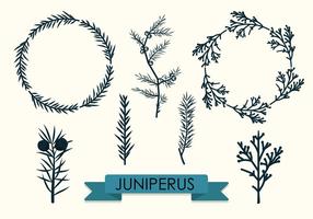 286x200 Branches Free Vector Art
