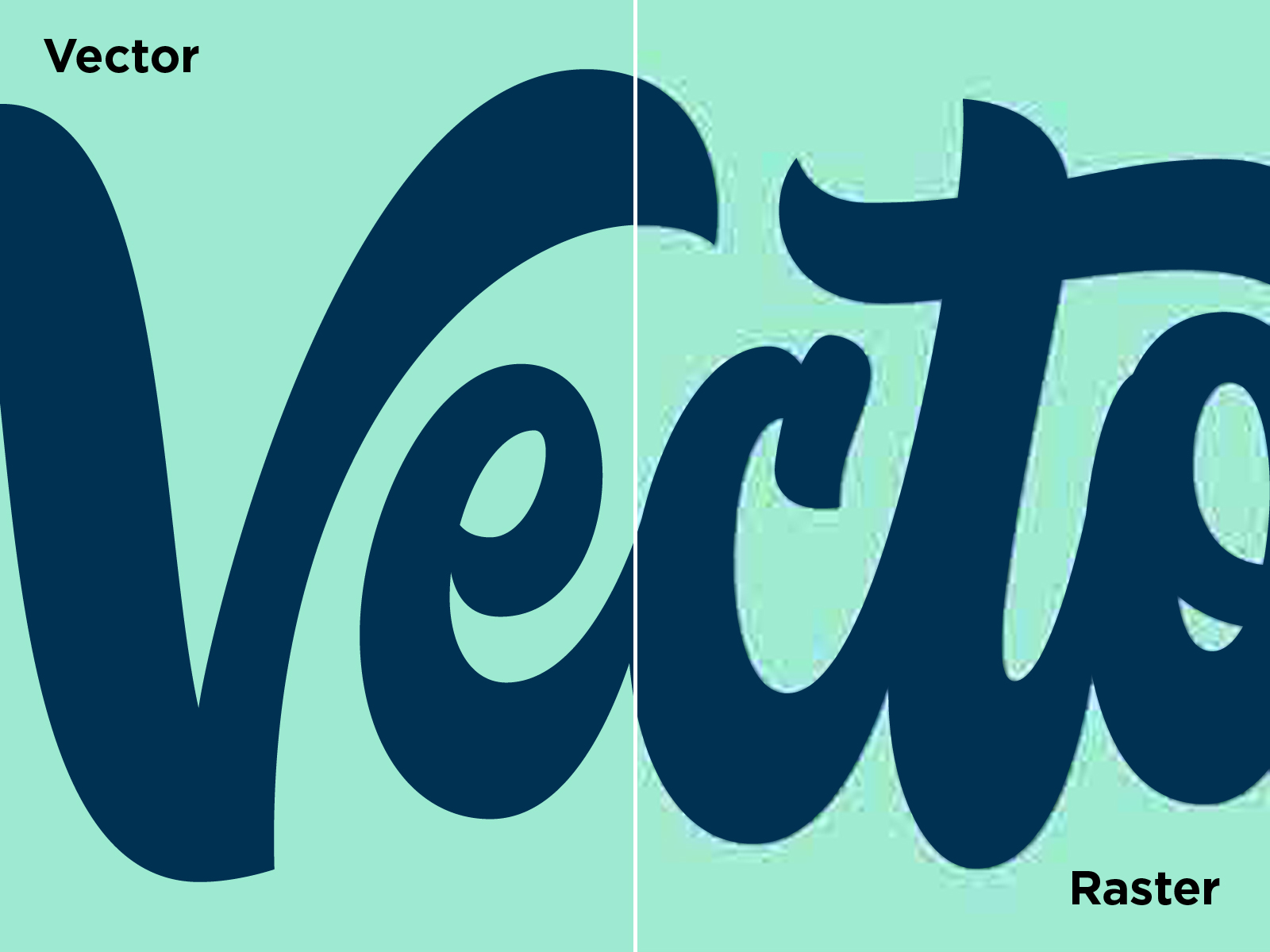 1600x1200 What You Need To Know About Vector And Raster Lettering Highpulp