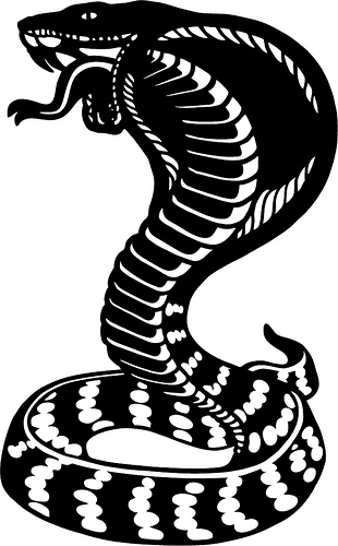 310x500 Branding Iron