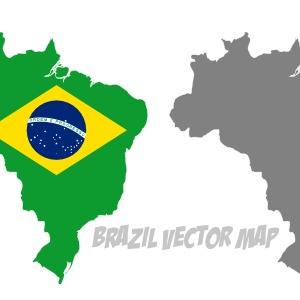 300x300 Vector Brazil With Flag