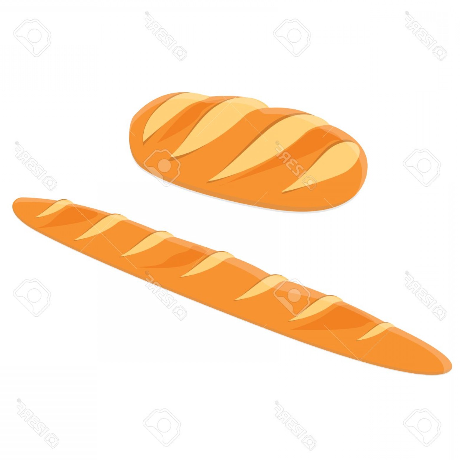 1560x1560 French Bread Loaf Vector Sohadacouri