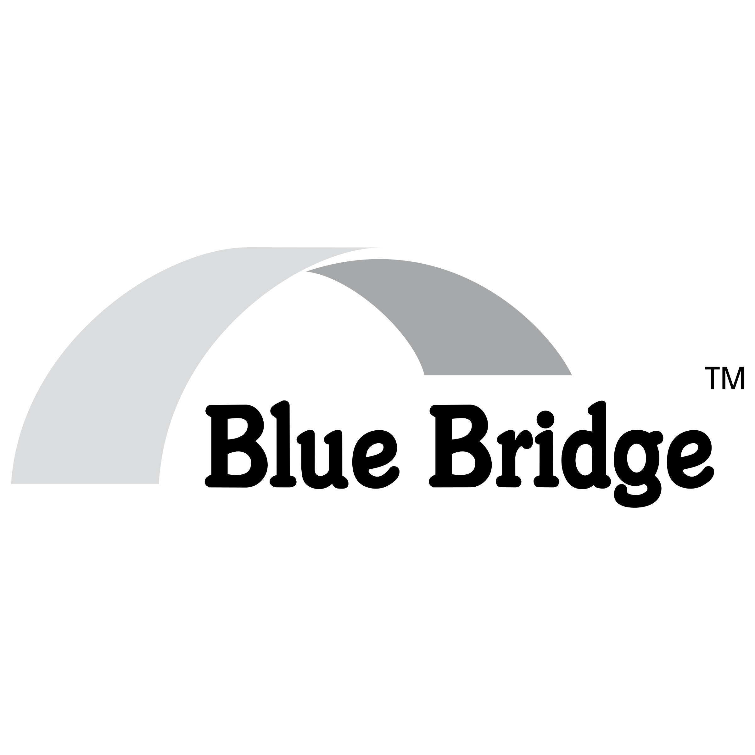 2400x2400 Bridge Vector