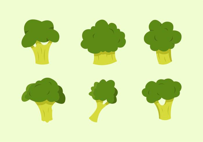 700x490 Broccoli Vector Illustrations Free