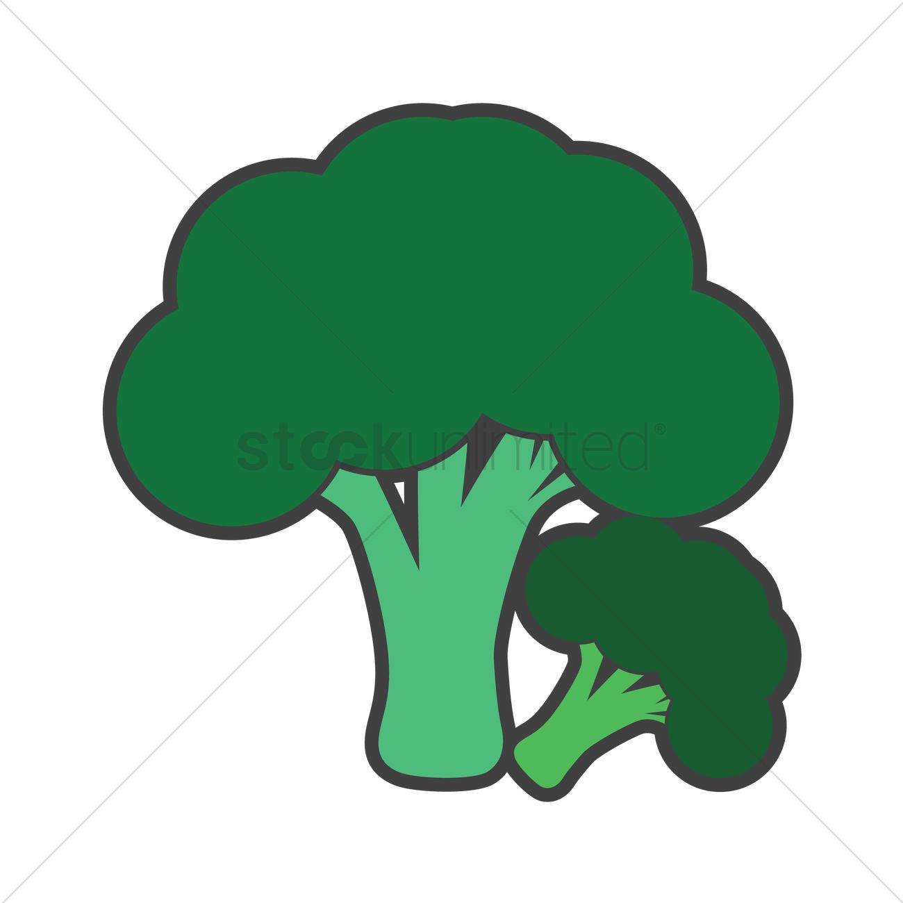 1300x1300 Broccoli Vector Image