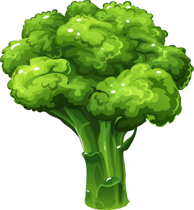 649x700 Broccoli. Vector Illustration Wall Decal We Live To Change