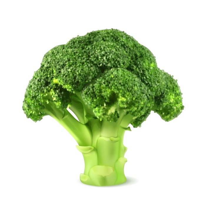 700x700 Fresh Green Broccoli, Vector Illustration Wall Decal Pixers