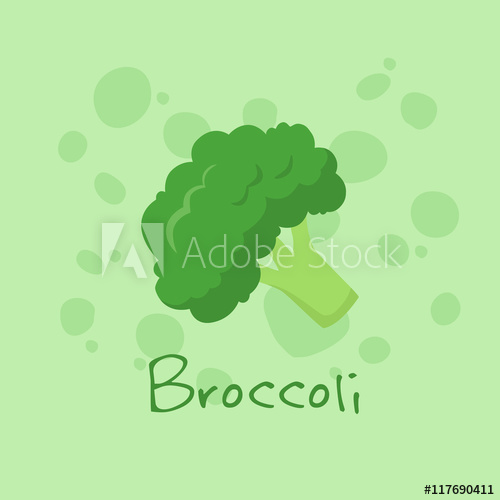 500x500 Vegetable Broccoli Vector Illustration Isolated On Green