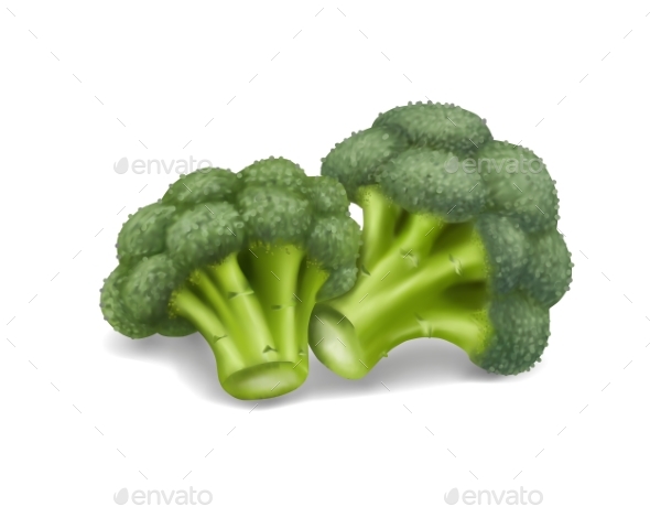 590x460 Broccoli Vector Illustration By Lolya1988 Graphicriver