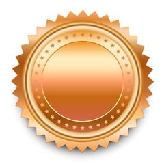 240x240 Round Bronze Vector Medal With Stars.