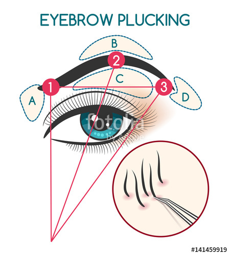 450x500 Eyebrow Plucking Vector Illustration. Tweezing Eyebrows Diagram