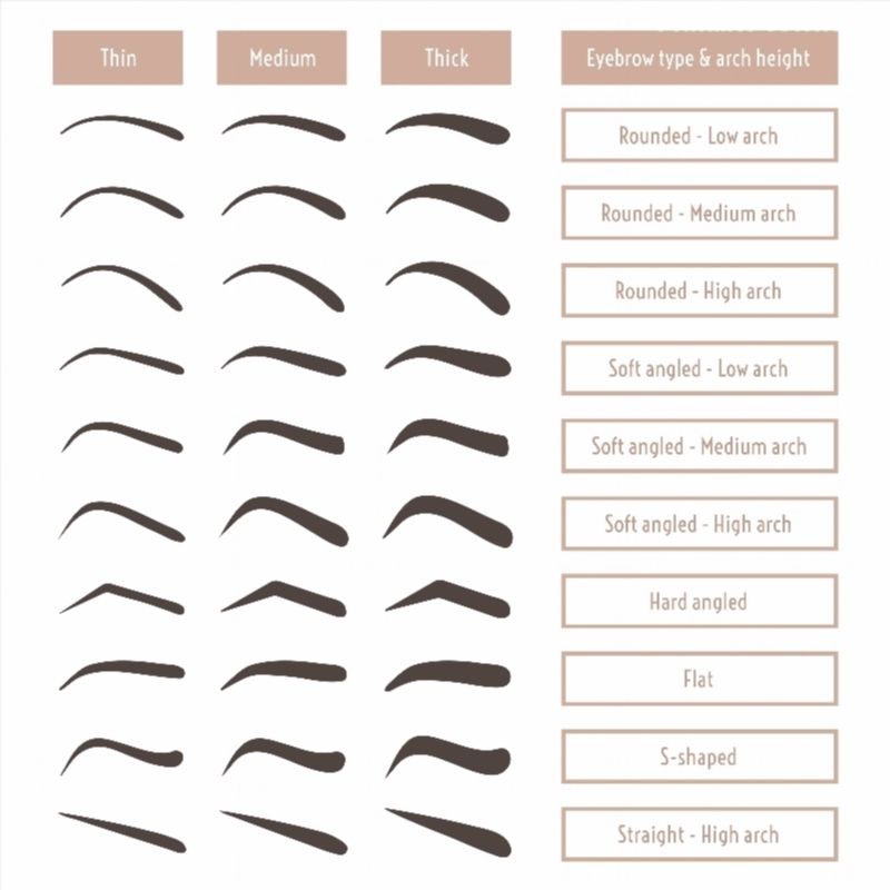 800x800 Eyebrow Shapes. Various Types Of Eyebrows. Classic Type And Other