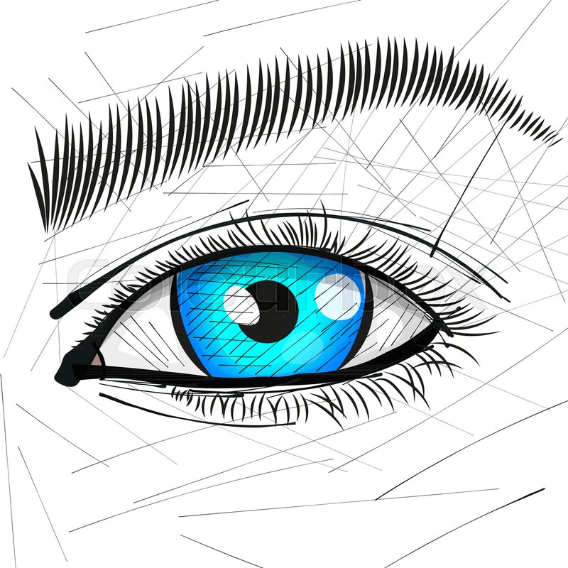 800x800 Beautiful Woman Eye And Brow Vector Illustration Stock Vector