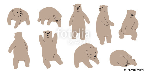 500x250 Bear Vector Polar Bear Doodle Illustration Character Cartoon Brown
