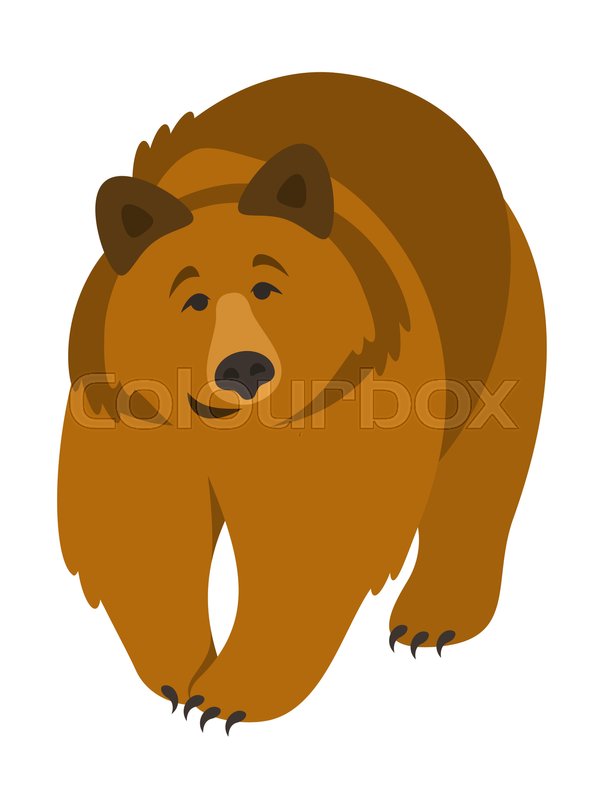 599x800 Cute Smiling Grizzly Bear Vector Cartoon Illustration. Wild Zoo