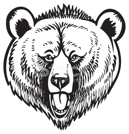 424x440 Grizzly Brown Bear Vector Stock Vector