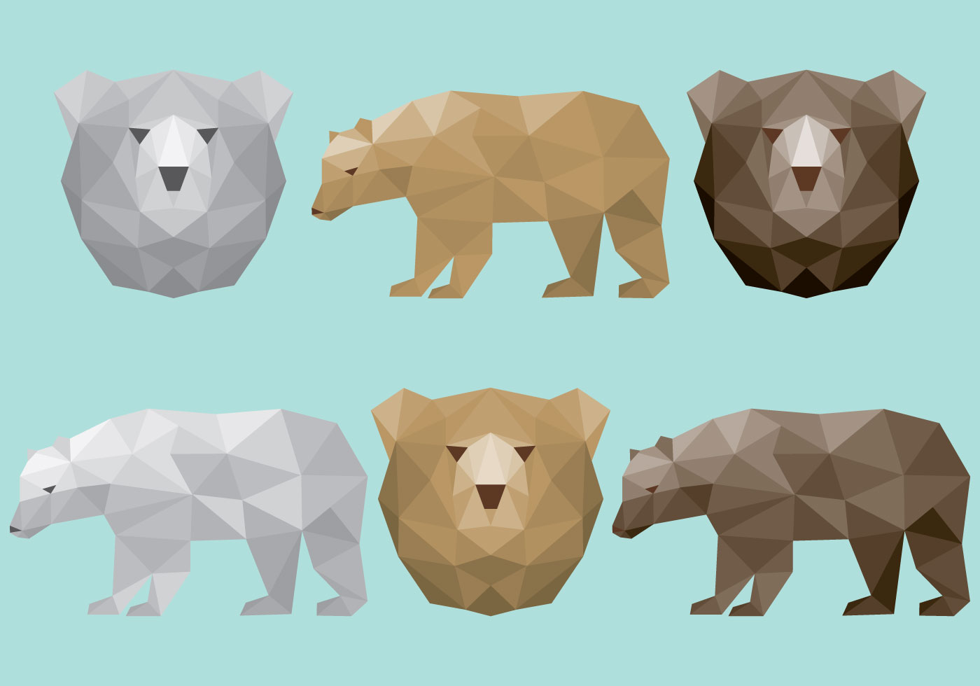 1400x980 Polygonal Bear Vectors