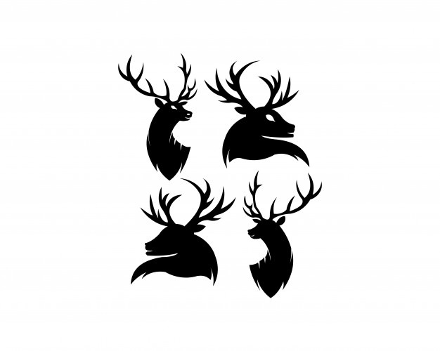 626x500 Deer Vectors, Photos And Psd Files Free Download