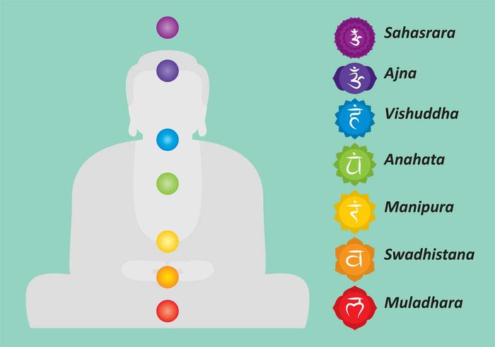 700x490 Vector Chakras De Buda