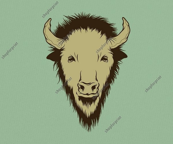 600x500 Buffalo Head In Vector Formats