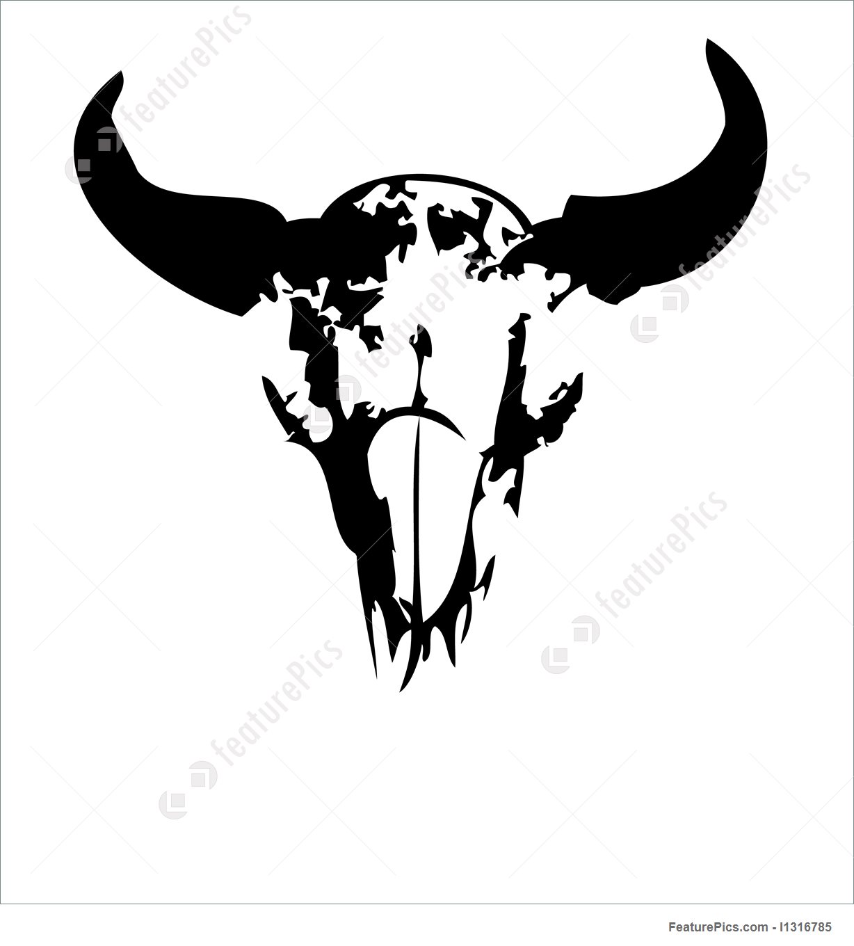 1228x1360 Buffalo Skull
