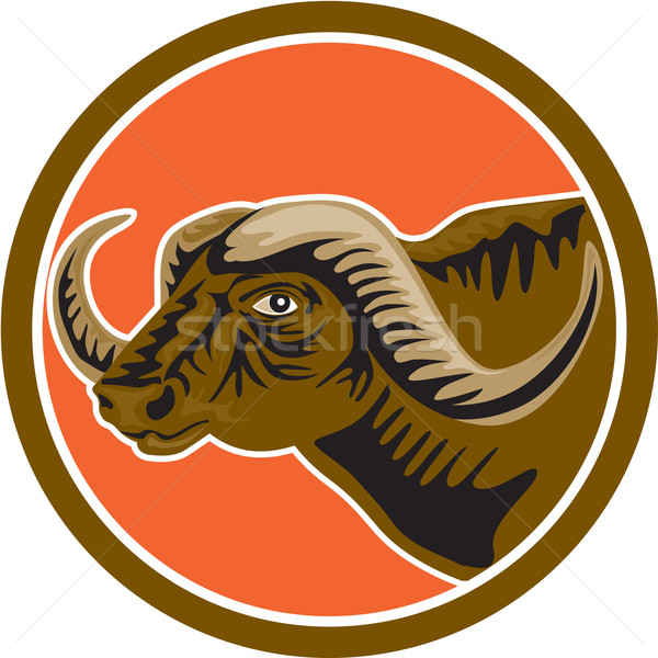 600x600 Buffalo Head Stock Photos, Stock Images And Vectors Stockfresh