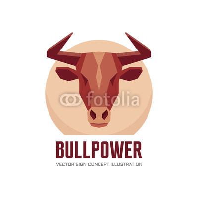 400x400 Bull Head
