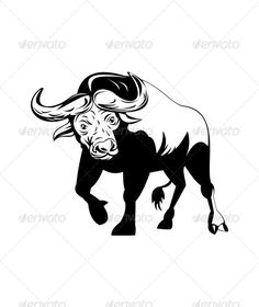 236x280 Vector Image Of An Buffalo Head On White Background