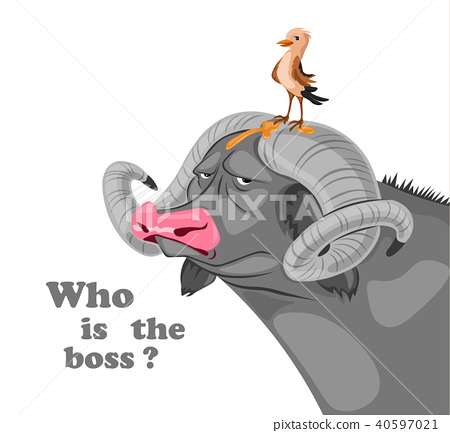 450x433 Bird Sitting On A Buffalo Head Vector