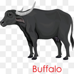 260x260 Buffalo Png, Vectors, Psd, And Clipart For Free Download Pngtree