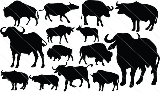 610x350 Buffalo Silhouette Vector (14) Silhouette Clip Art