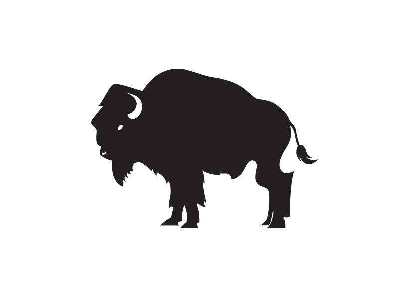 800x600 Buffalo Vector By Alex Deckard
