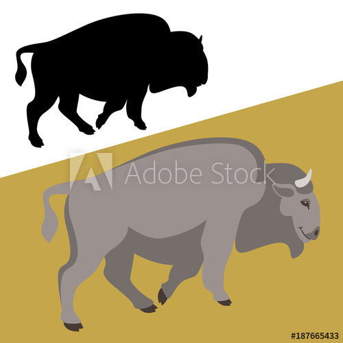 500x500 Buffalo Vector Illustration Flat Style Silhouette Black Profile