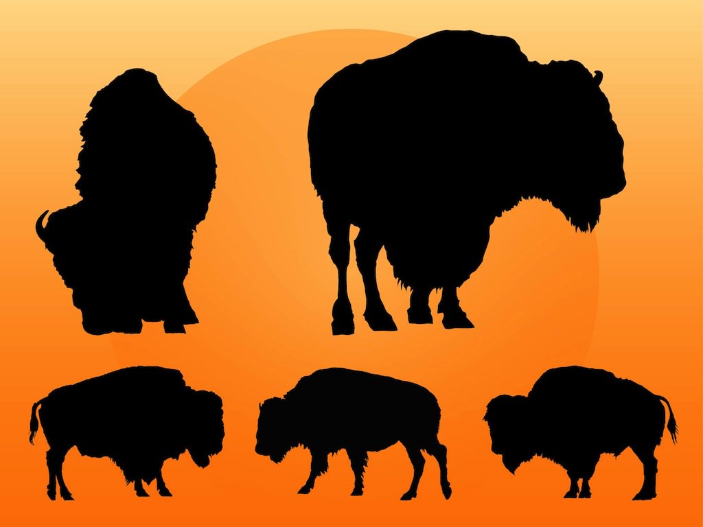 1024x768 Buffalo Silhouettes Vector Art Amp Graphics