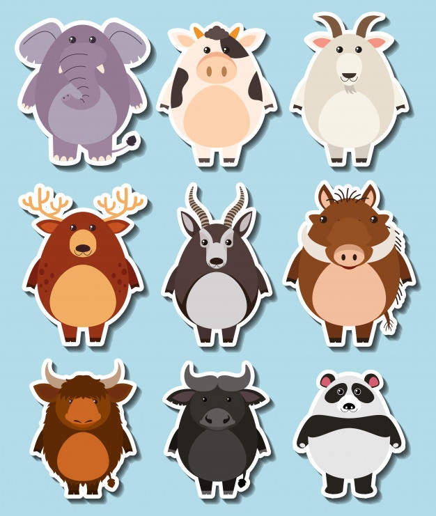 626x741 Buffalo Vectors, Photos And Psd Files Free Download