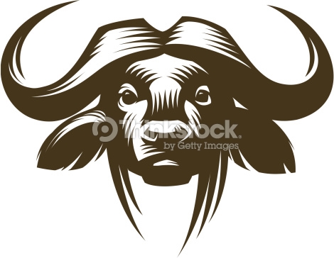 470x364 Buffalo Vector Logos