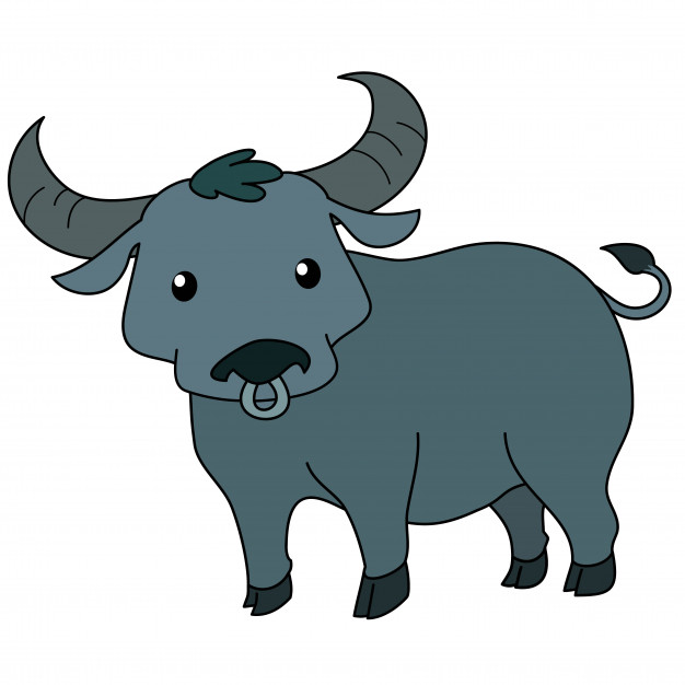 626x626 Black Buffalo Vectors, Photos And Psd Files Free Download