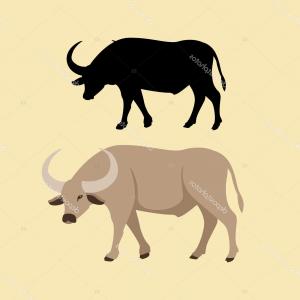 300x300 Stock Illustration Buffalo Head Vector Illustration Style Arenawp