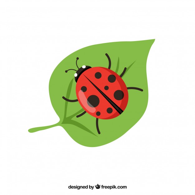 626x626 Bug Vectors, Photos And Psd Files Free Download