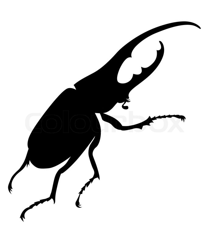 703x800 Bug Silhouette On White Background, Vector Illustration Stock