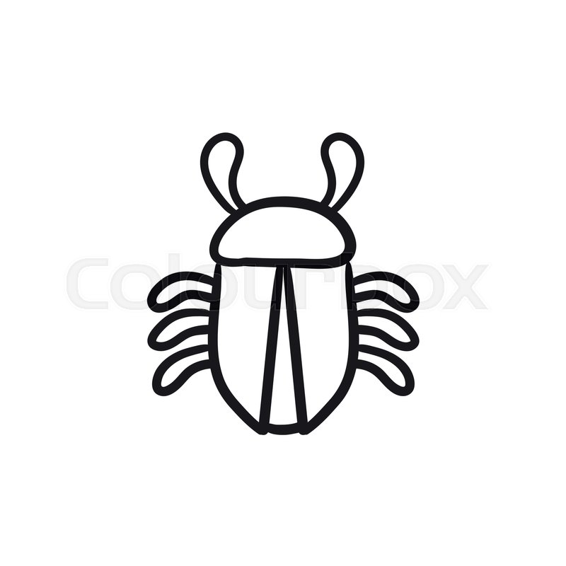 800x800 Computer Bug Vector Sketch Icon Isolated On Background. Hand Drawn
