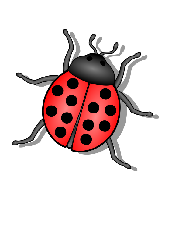 566x800 Lady Bug Free Vector 4vector