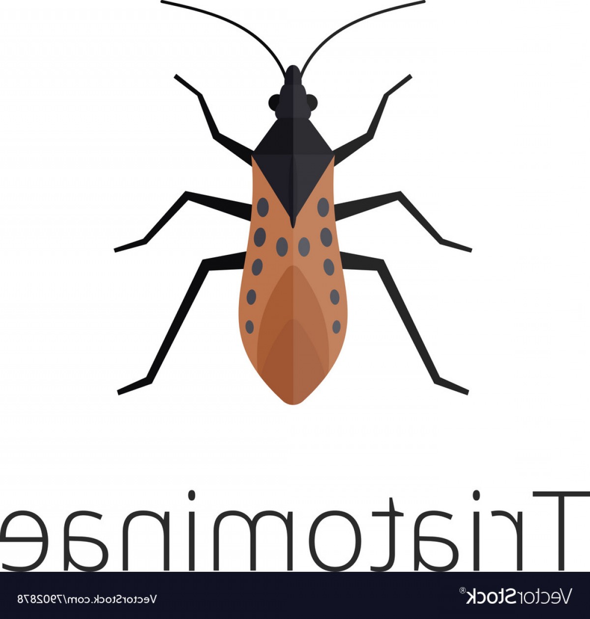 1200x1258 Triatominae Skin Parasite Insect Bug Vector Shopatcloth
