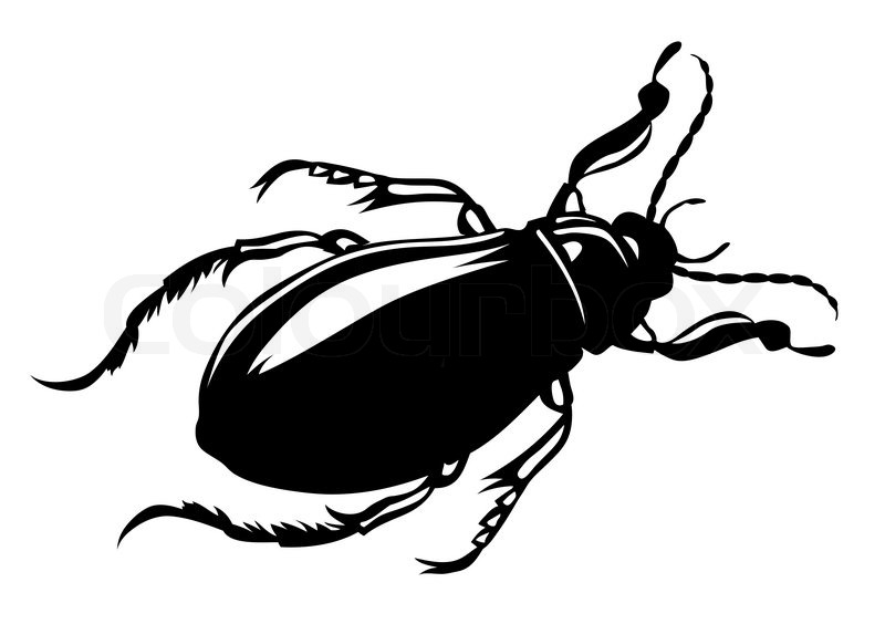 800x564 Vector Silhouette Bug On White Background Stock Vector Colourbox