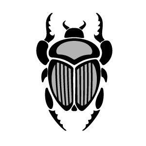 300x300 Beetle Vector Image