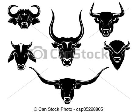 450x369 Cow, Bull, Ox. Different Bulls Head.