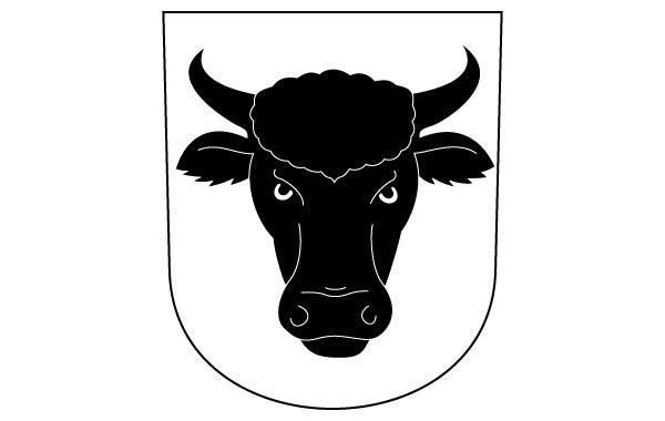 600x380 Cow Bull Horns