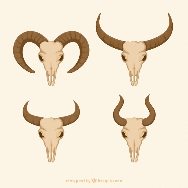 626x626 Horns Vectors, Photos And Psd Files Free Download